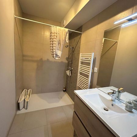 Appartement Avec Jardin Chateauneuf-de-Galaure Екстер'єр фото